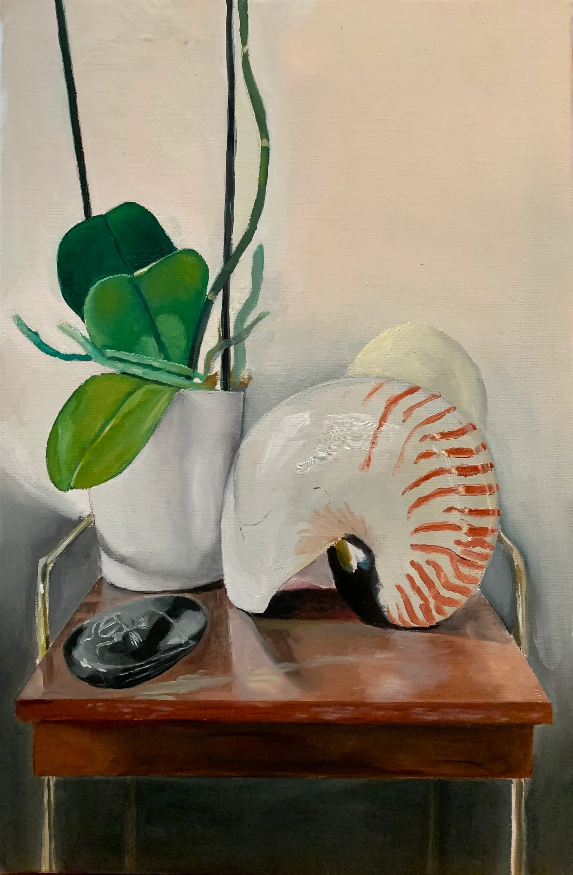 White Orchid, 2021